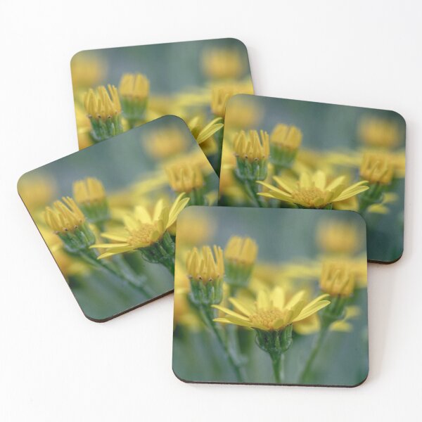 Item preview, Common ragwort flowers  designed and sold by AWLPIX.
