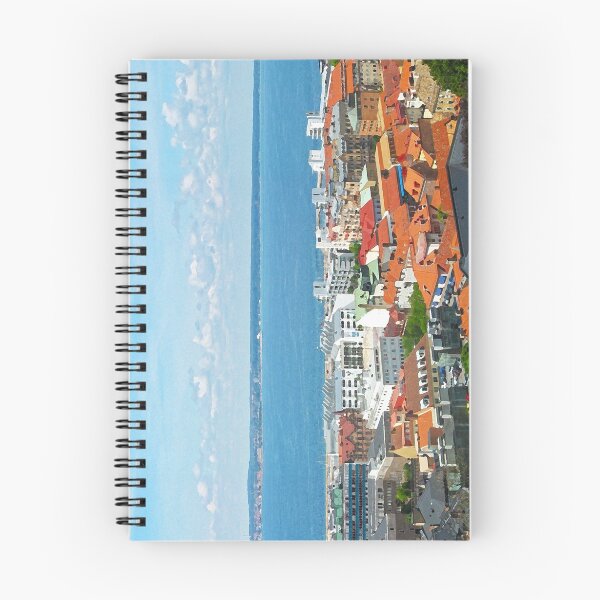 Item preview, Sweden - Panorama of Helsingborg and Oeresund designed and sold by leobrix.