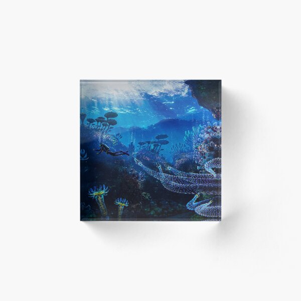 Subnautica Acrylic Block
