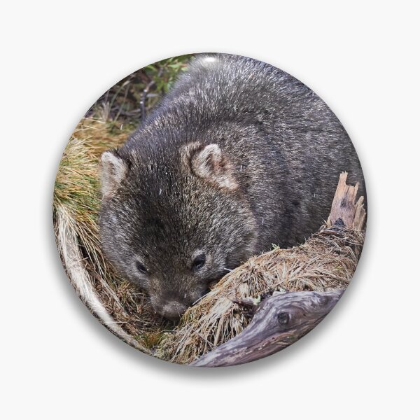 Item preview, Wombat designed and sold by Robert Elliott.