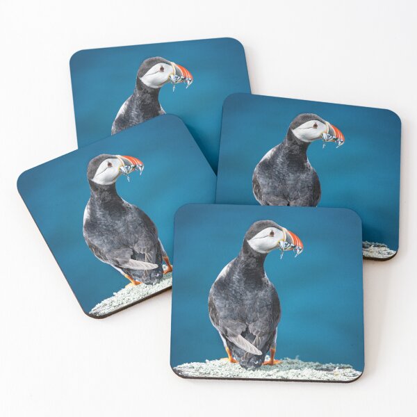 Item preview, Puffins Lunch designed and sold by GillianSweeney.