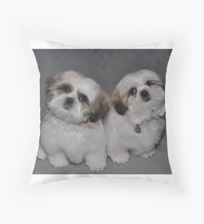 grooming pillow for shih tzu