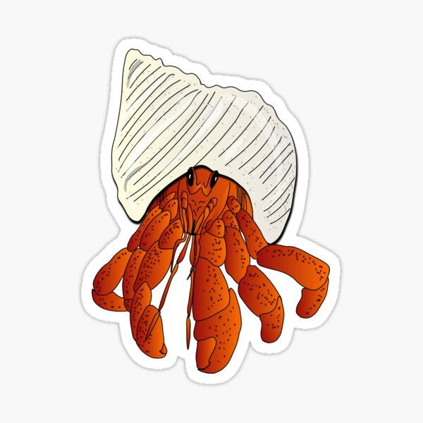 Produits Sur Le Theme Bernard Lhermite Redbubble