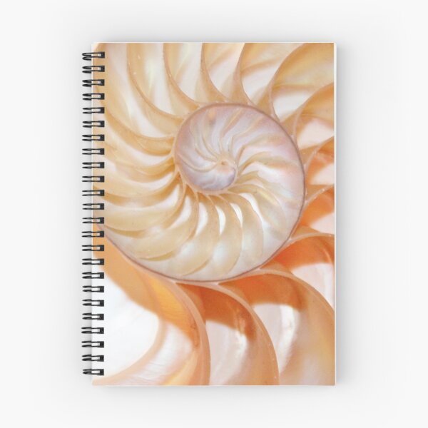 Item preview, shell Nautilus shell fibonacci golden ratio background designed and sold by cheekylorns.