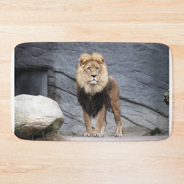 Item preview, Wild Lion  designed and sold by newburyboutique.