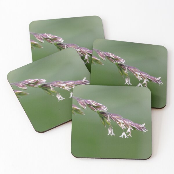 Item preview, Grass flowers designed and sold by AWLPIX.