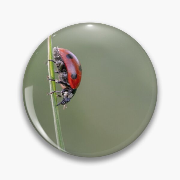 Item preview, 7 spot ladybird designed and sold by AWLPIX.