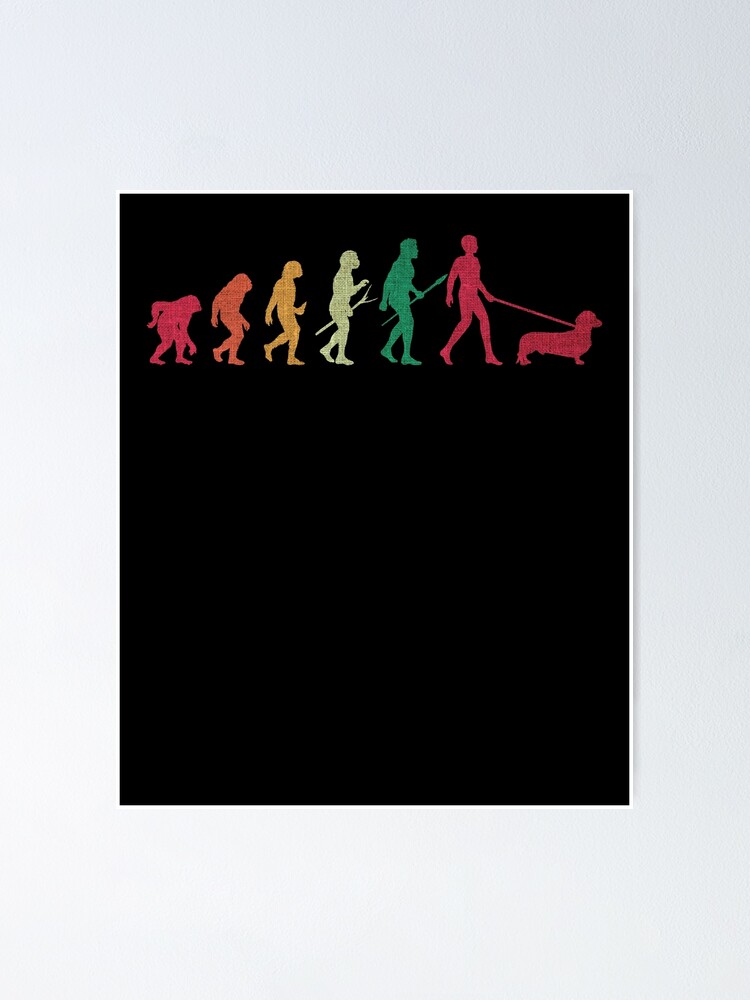 "Dachshund Evolution" Poster by BLake77777 Redbubble