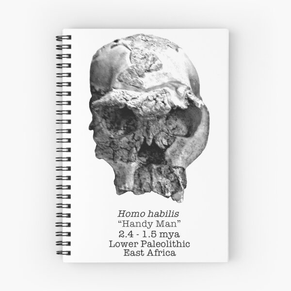 Item preview, Homo habilis designed and sold by SnazzyScience.