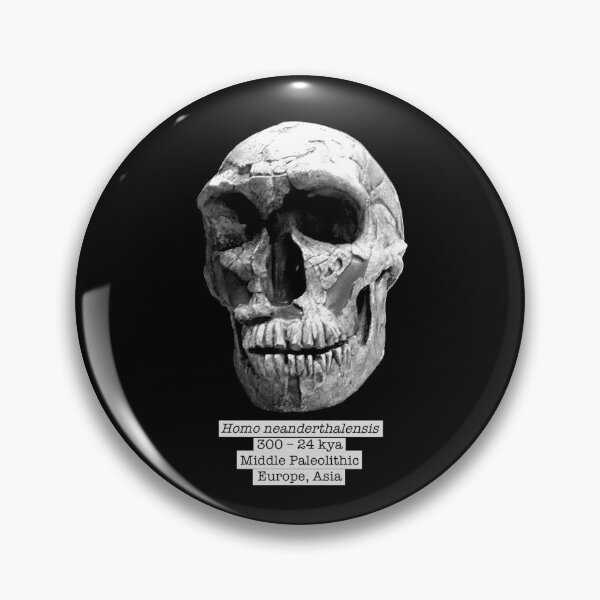 Item preview, Homo neanderthalensis (Black bg) designed and sold by SnazzyScience.