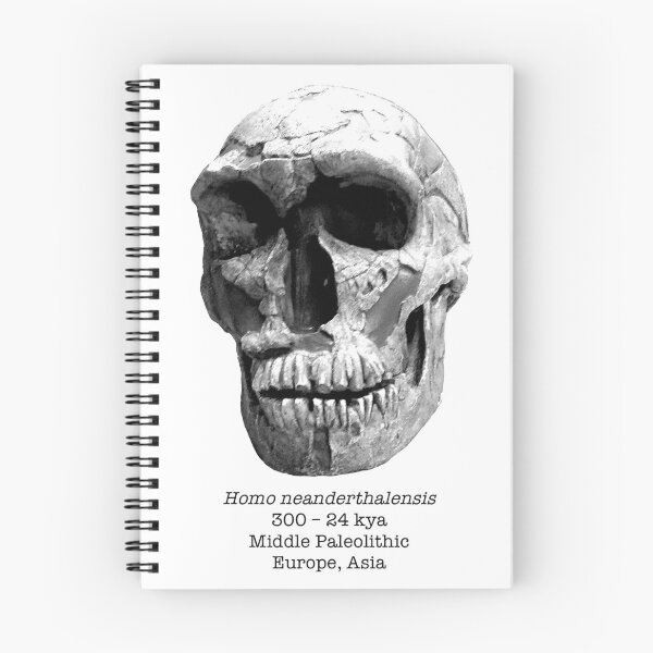 Item preview, Homo neanderthalensis designed and sold by SnazzyScience.