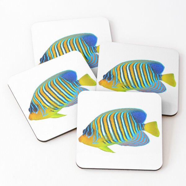 Item preview, Marine Angelfish designed and sold by killies.