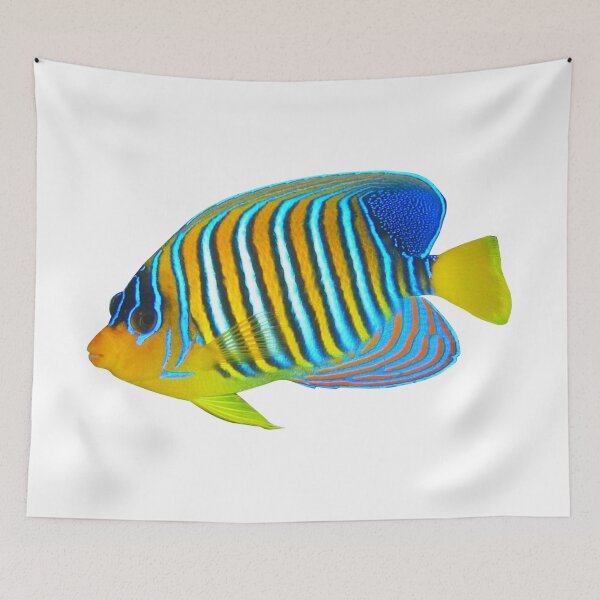 Item preview, Marine Angelfish designed and sold by killies.
