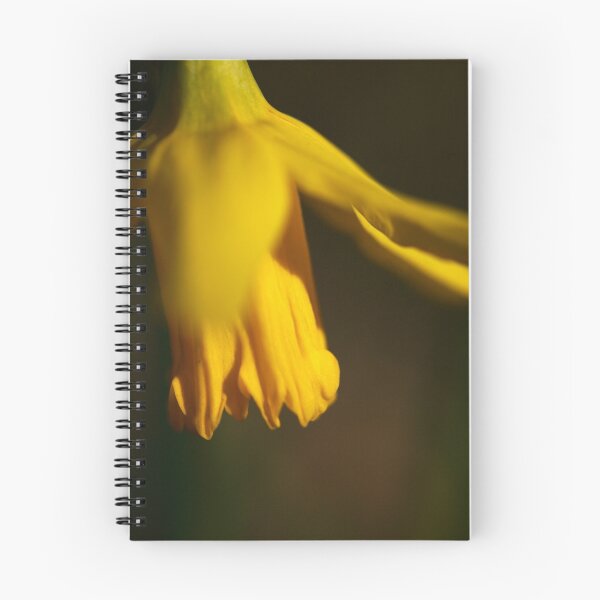 Item preview, daffodil designed and sold by codaimages.