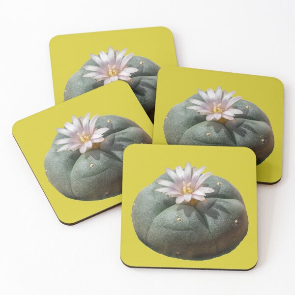 Item preview, Peyote Cactus With Flowering Top designed and sold by Fruitsome.