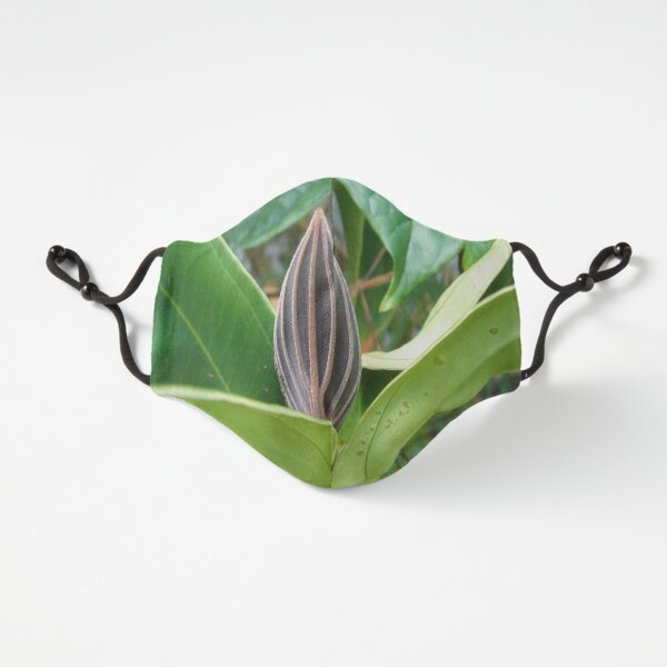 Hawaiian Bloom Fitted 3-Layer