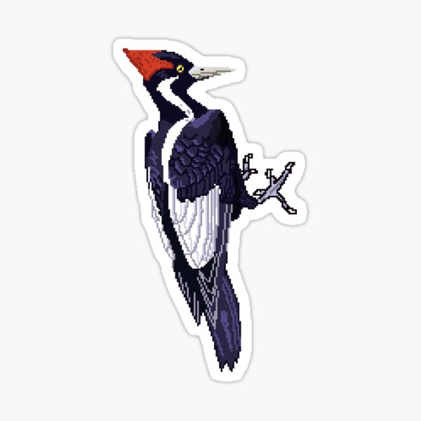 Pileated woodpecker for Bryn   Melanie Steinway Art  Facebook