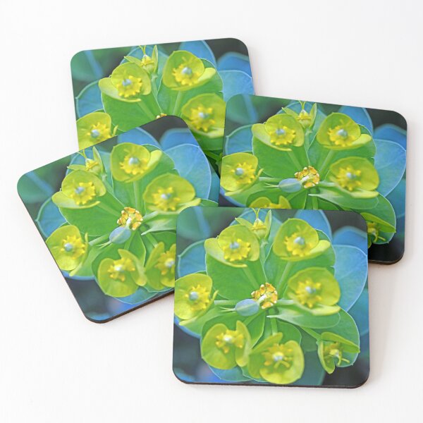 Item preview, Donkey Tail Spurge designed and sold by Deb Oppermann.