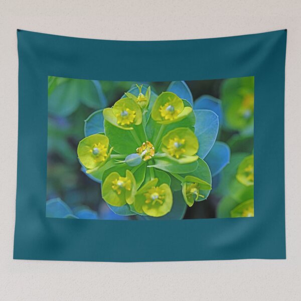 Item preview, Donkey Tail Spurge designed and sold by Deb Oppermann.