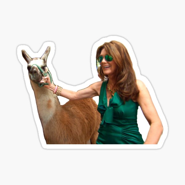 Item preview, Llama Vanderpump designed and sold by jessfazari.