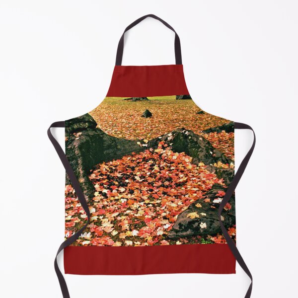 Item preview, "ROCK SCOOPING UP FALLING LEAVES AND WALNUTS," Photo, for prints and products designed and sold by Bob Hall©.