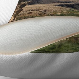 Alternate view of Grand Canyon Colorado River Scene - From ccnow.info Throw Pillow