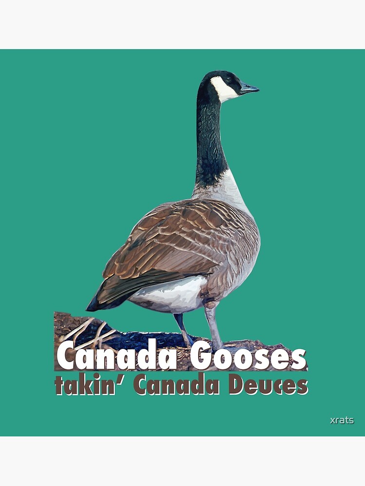 Canada goose 2025 quotes letterkenny