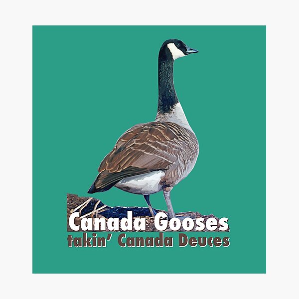 Canada goose 10k letra best sale