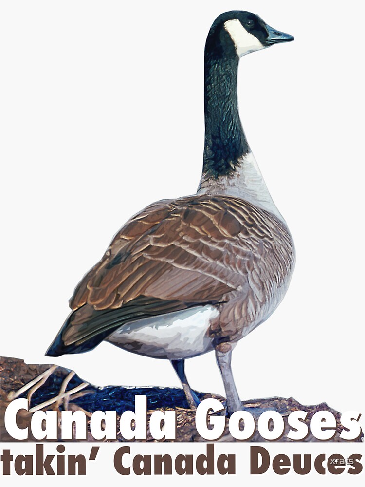 Canada goose 2025 quotes letterkenny