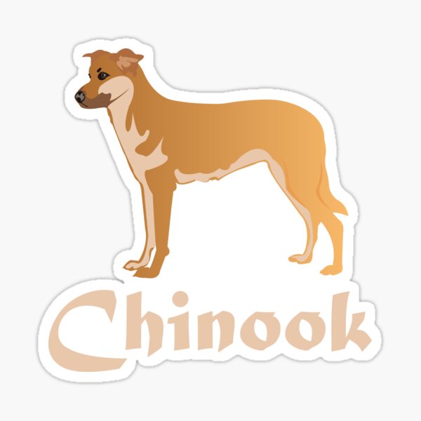 Chinook Dog Sticker