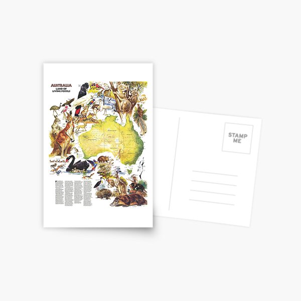 Item preview, Animals Map Of Australia designed and sold by benayache.