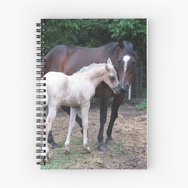 Item preview, Foal kiss designed and sold by MaryAnnEnsz.
