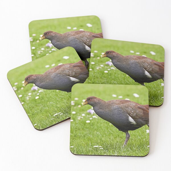 Item preview, Tasmanian Native Hen designed and sold by Robert Elliott.