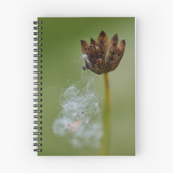 Item preview, Flower designed and sold by Simplelight-art.