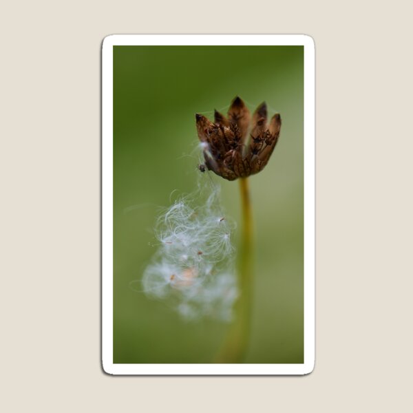 Artikelvorschau, Flower entworfen und verkauft von Simplelight-art.