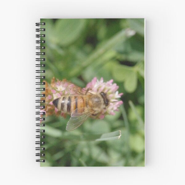 Aperçu de l'œuvre Busy Bee créée et vendue par clairepullan.