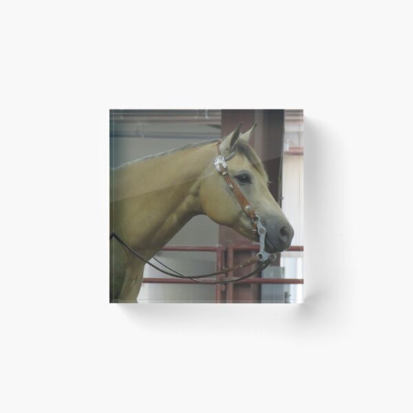Item preview, MAE BE Skipa Clu checking out the competition  designed and sold by MaryAnnEnsz.