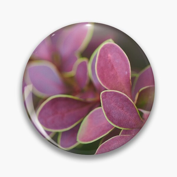 Item preview, Agracejo de Thunberg designed and sold by Simplelight-art.