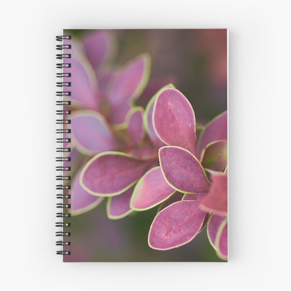 Item preview, Thunberg barberry designed and sold by Simplelight-art.