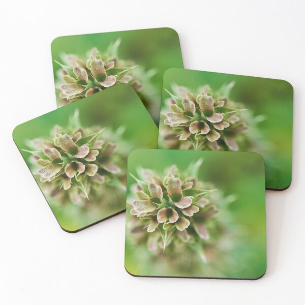 Item preview, Buckwheat designed and sold by Simplelight-art.