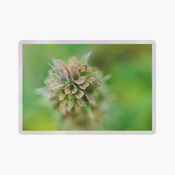 Item preview, Buckwheat designed and sold by Simplelight-art.