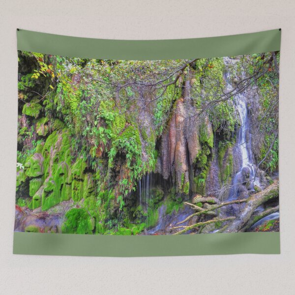 Item preview, Gorman Falls Scene designed and sold by Savannah Gibbs.