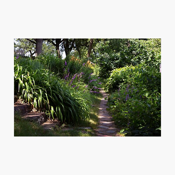 Aperçu de l'œuvre Chemin le long du lac Okoboji créée et vendue par Stephanie Wisdom.