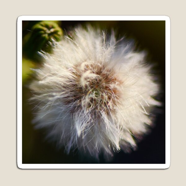Item preview, Puschel designed and sold by Simplelight-art.