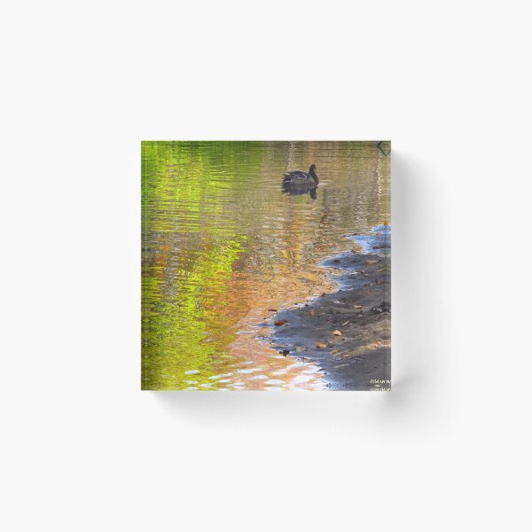Item preview, Paddling in the gold designed and sold by MarianBendeth.