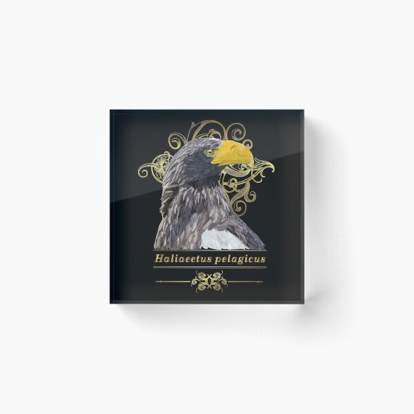 Aperçu de l'œuvre aigle géant créée et vendue par obscurite.