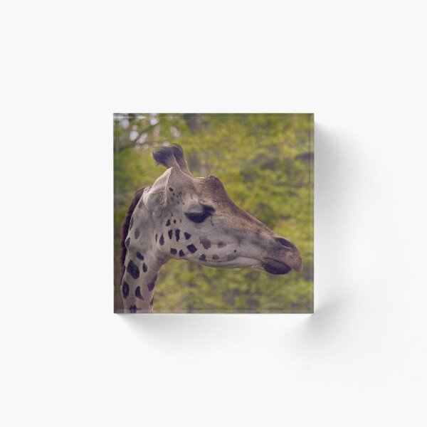 Artikelvorschau, Giraffe entworfen und verkauft von Simplelight-art.
