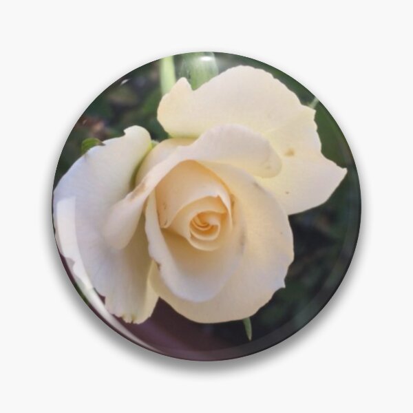 Item preview, Perception of Beauty designed and sold by PlushyPony.
