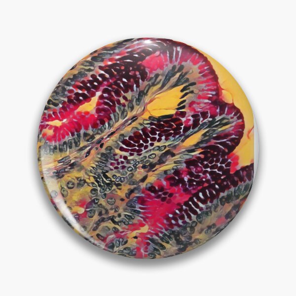 Item preview, Stomach PAS designed and sold by Love Histology.