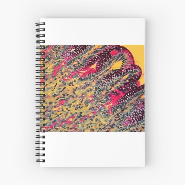 Item preview, Stomach PAS designed and sold by Love Histology.